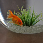 27.02.16-005-768x514